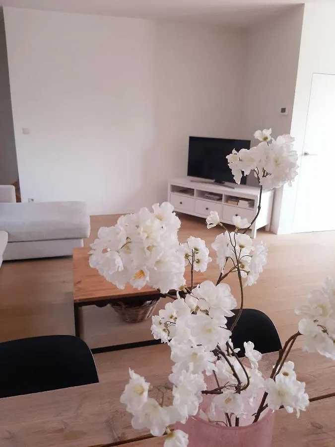 Luxe Duplex Appartement Mavi Gistel Apartment