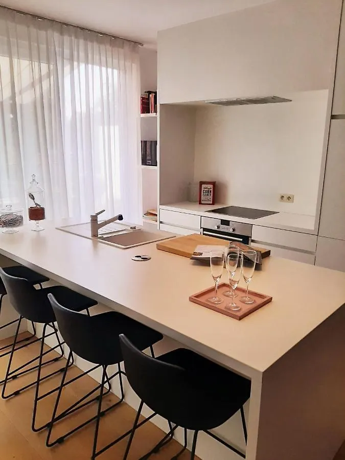 דירה גיסטל Luxe Duplex Appartement Mavi בלגיה